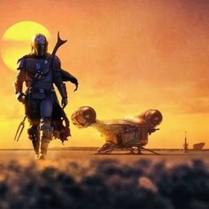 Meet your Posher, Carter